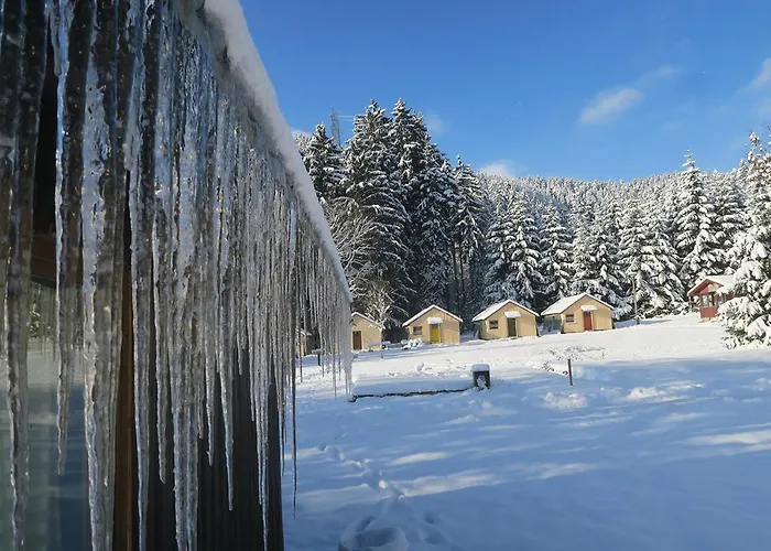 Thueringer Wald Apart Otel 3*